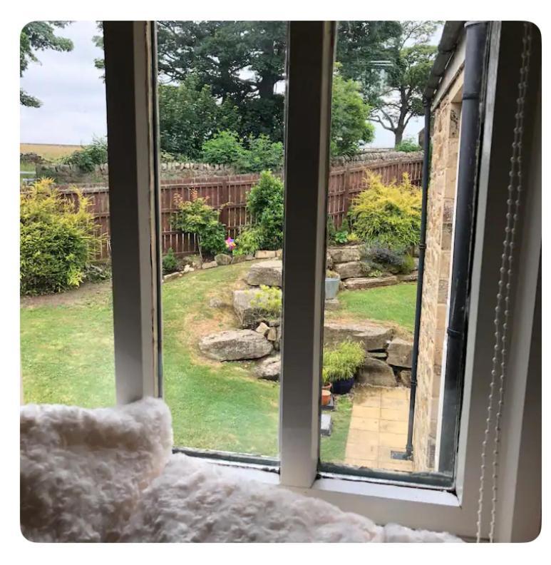 Homestay The Oaks A Private In Our With Its Own Entrance With Internal Doors Locked Suited To Quieter Guests Wanting A Peaceful Consett
